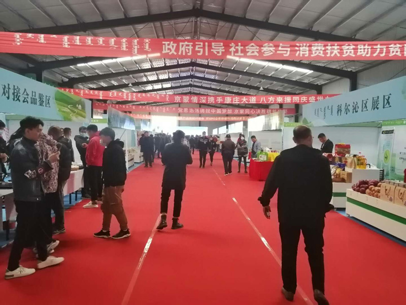 �����C�������w���C��